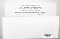 Image Associated With the Occurence